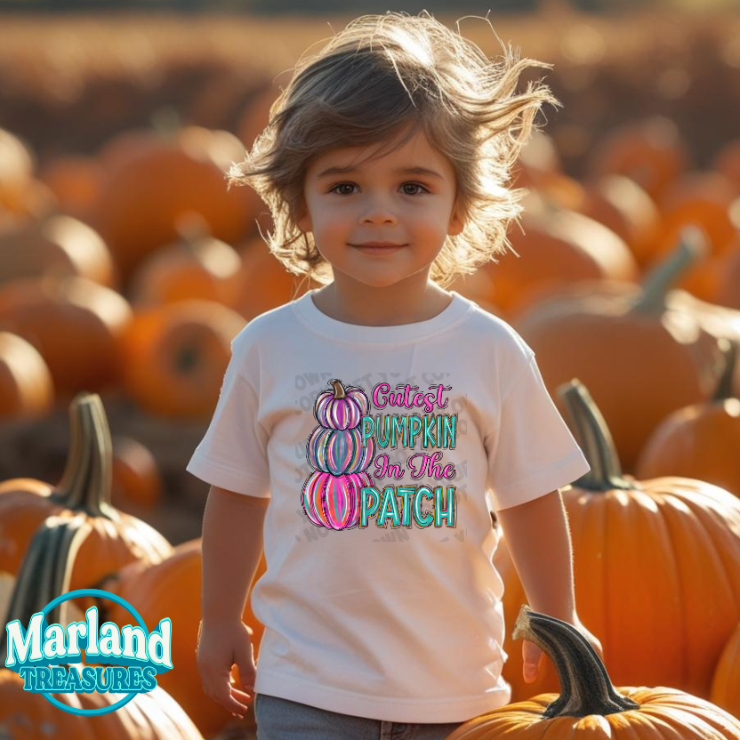 Cutest Pumpkin in the Patch